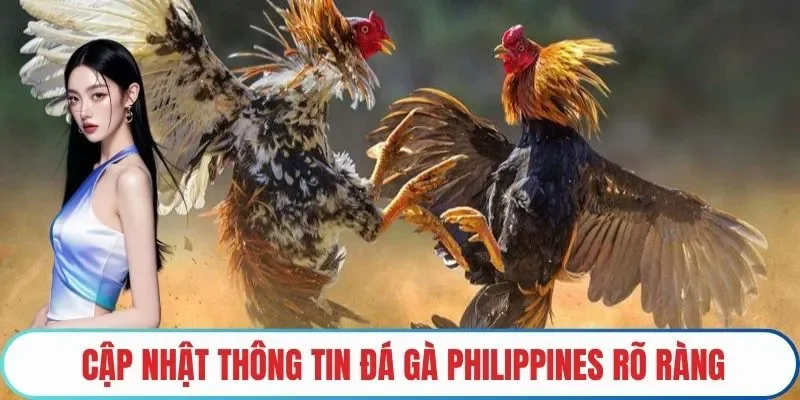 Cập nhật thông tin Đá gà Philippines rõ ràng