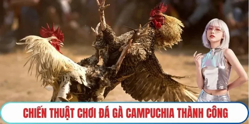 Chiến thuật chơi Đá gà Campuchia thành công