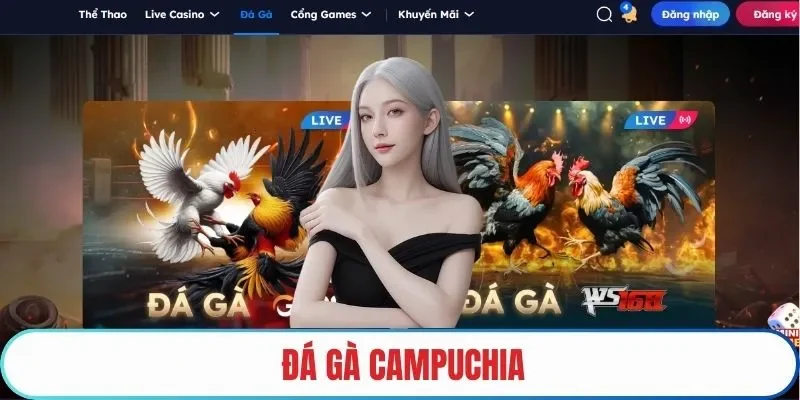 đá gà campuchia