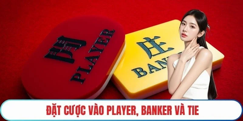 Đặt cược vào player, banker và tie